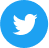 icon twitter